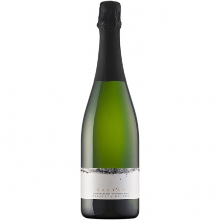 Игристое вино Guerila Wines, 'Castra' Brut Nature;