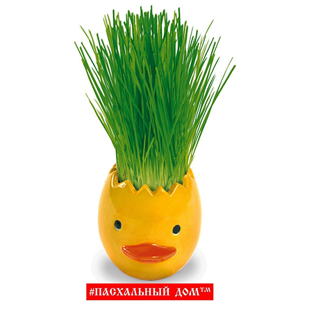 Набор пасхальный Пшеничка из яичка